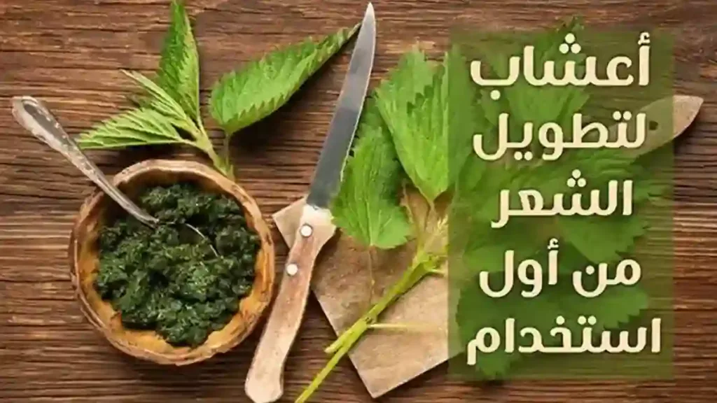عشبة تطول الشعر من اول استخدام