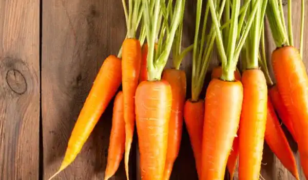 مصادر فيتامين أ النباتية